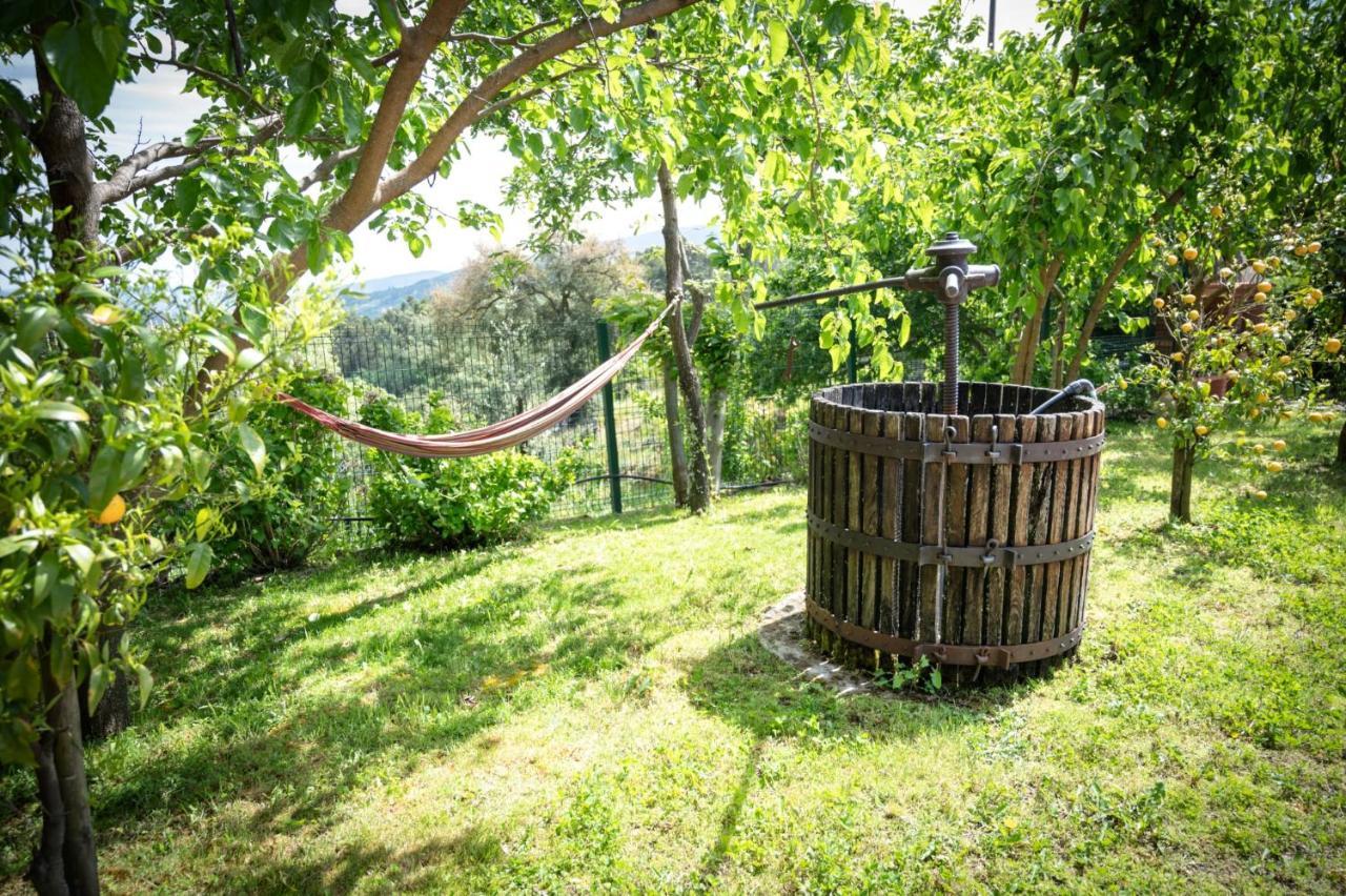 Pinhawood Villa Resende Eksteriør bilde